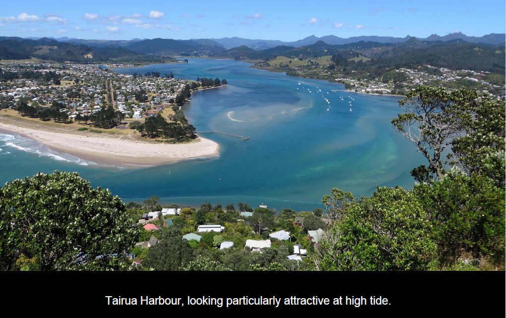 coro201531.jpg (231517 bytes)